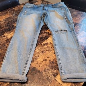 YMI blue jeans for women